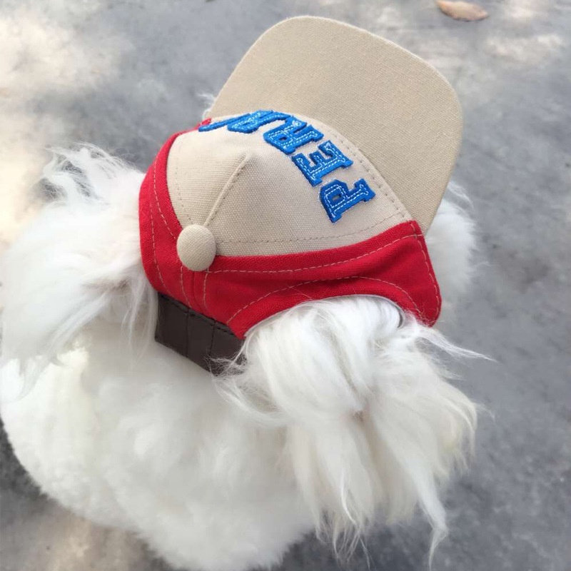 Gorra de béisbol bordada para  - Dad Hat Cotton reseña y precio