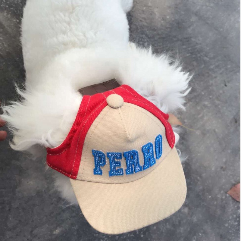Gorra de béisbol bordada para  - Dad Hat Cotton reseña y precio